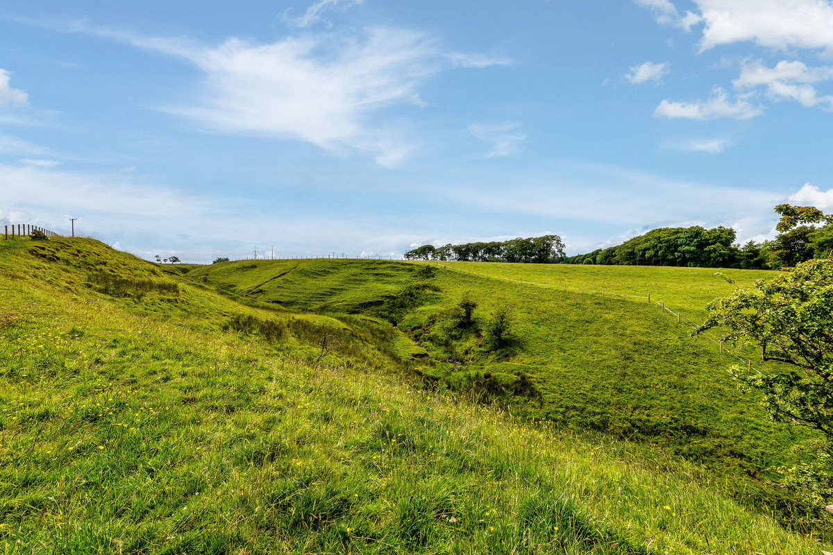 5Leithhead_externals_6378-0546-0a64-8de6-d092-00d9-97c4-ffa1_20240701032722