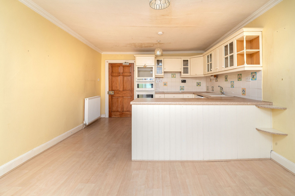 DSC00103_fb70-cbdd-4ed2-31e0-6878-5868-3969-97cf_20241125024709