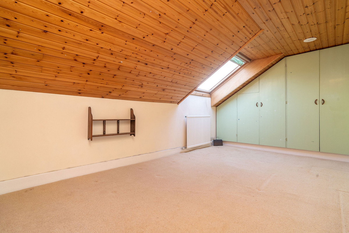 DSC00126_3778-95f0-14df-a403-2ecd-8835-6358-0c5c_20241125024721