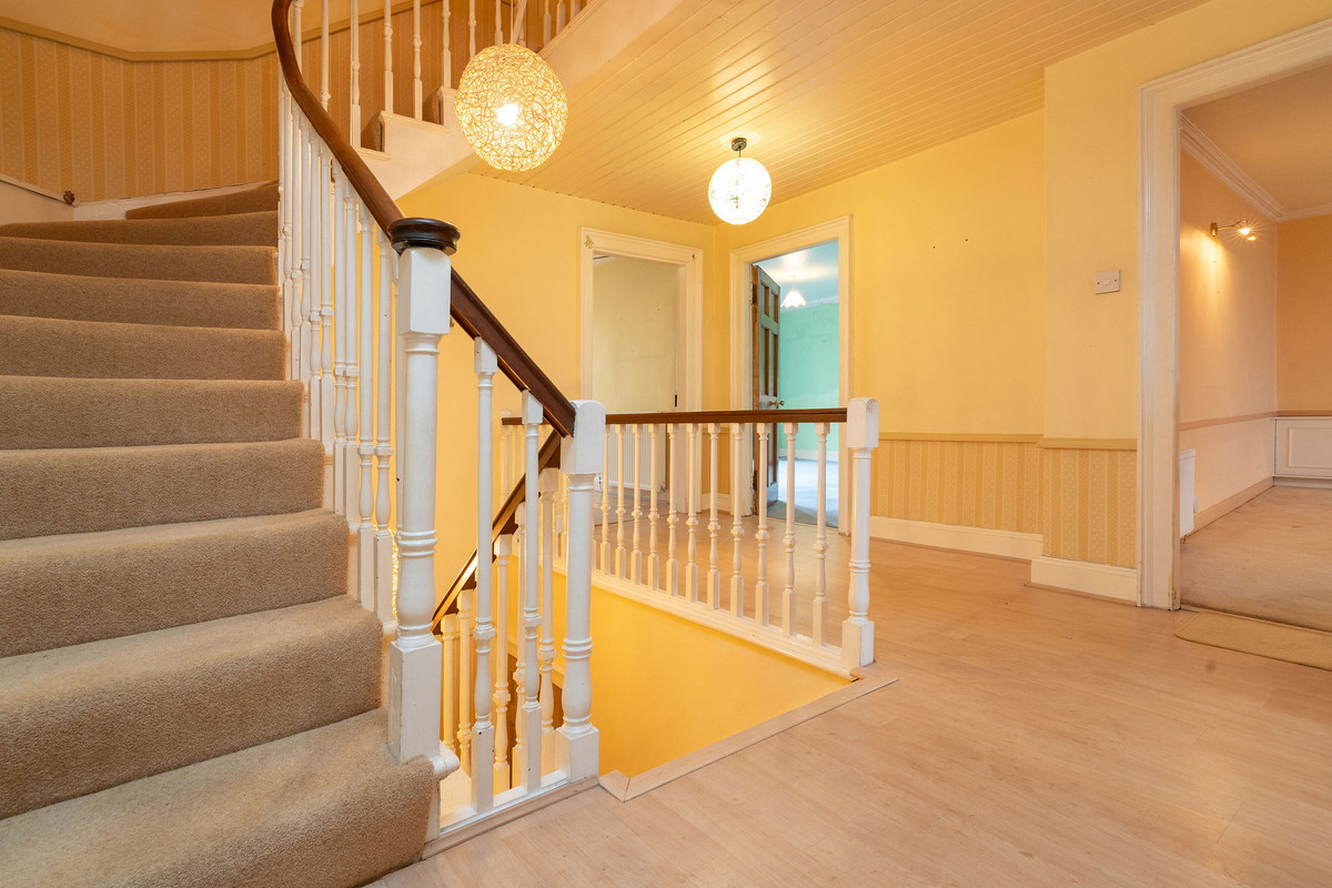 DSC00147_6ee9-c7d7-9e36-e469-0810-7076-b3eb-33b3_20241125024732