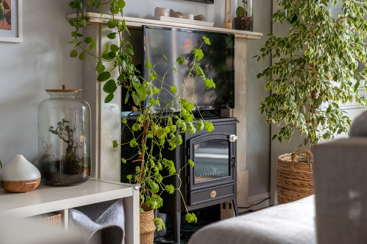 DSC01246_a409-7e44-26af-a8c6-c74d-5112-5469-f74c_20240923094402