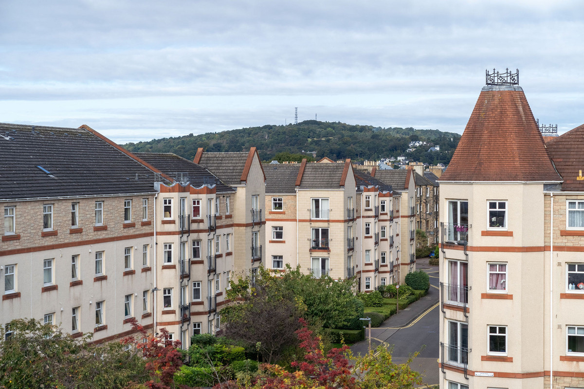 DSC01252_b341-0392-9522-e198-abcb-4de9-0b31-5551_20240923094406