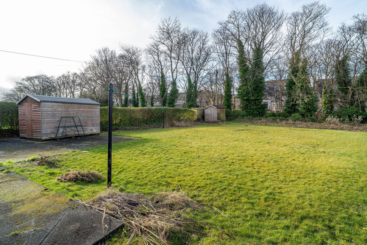 DSC05836_6b1a-d9af-6dba-5d7e-451b-45c7-8a57-c788_20250224021951