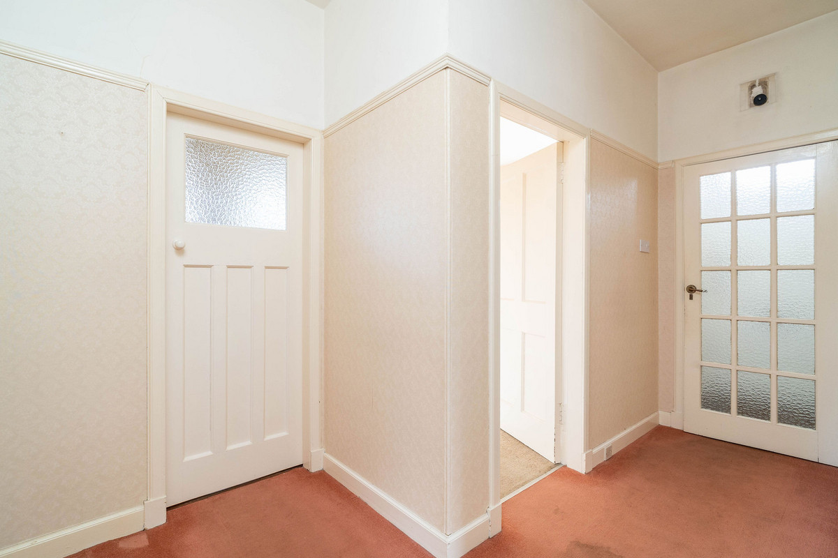 DSC05918_194b-c5f2-cc88-147f-287f-7169-e982-6246_20250224022029