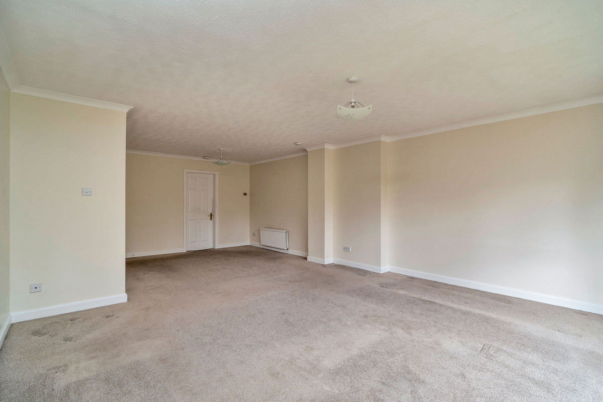 DSC09696_e396-8ddd-3151-a834-e8c1-53c3-50e9-7c8b_20250508123844