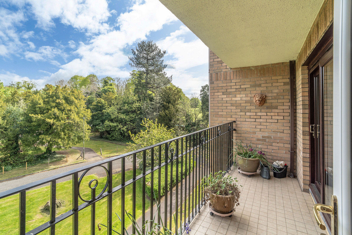 DSC09728_1f35-8e75-26dd-bd26-fd05-f1db-2206-cf48_20250508123902