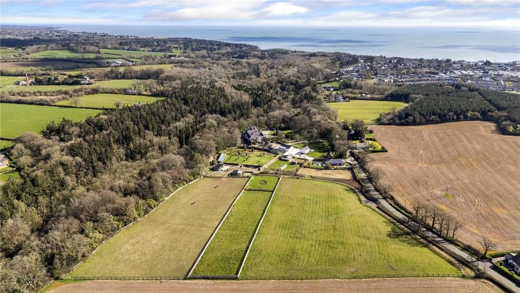 image-1-1024×1024-388