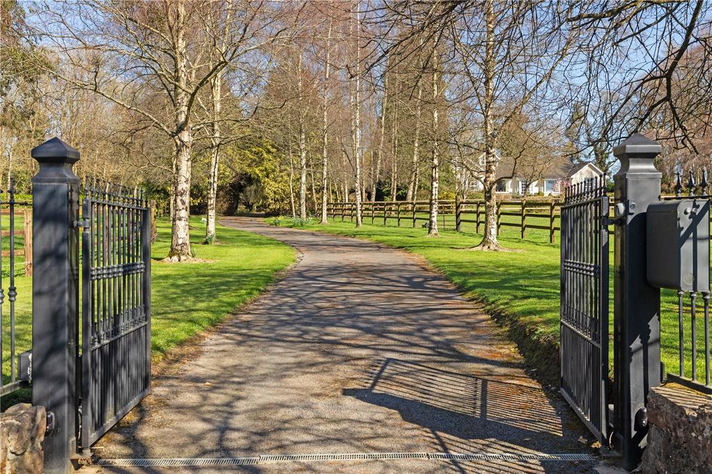 image-1-1024×1024-396