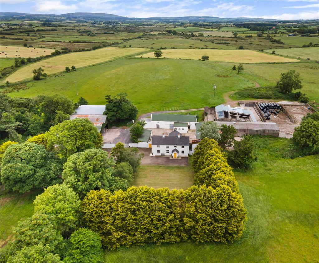 image-1-1024×1024-397