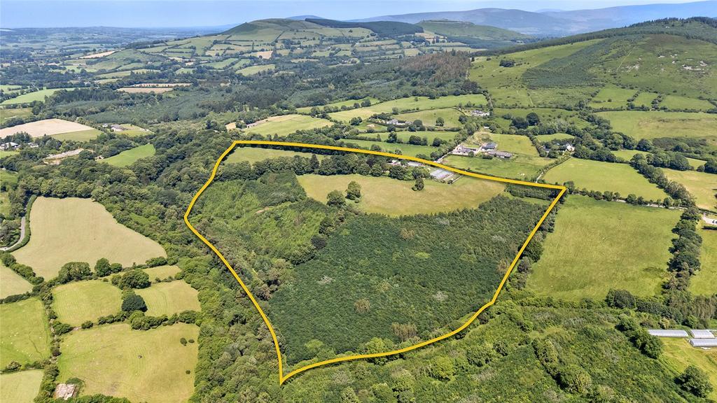 image-1-1024×1024-400