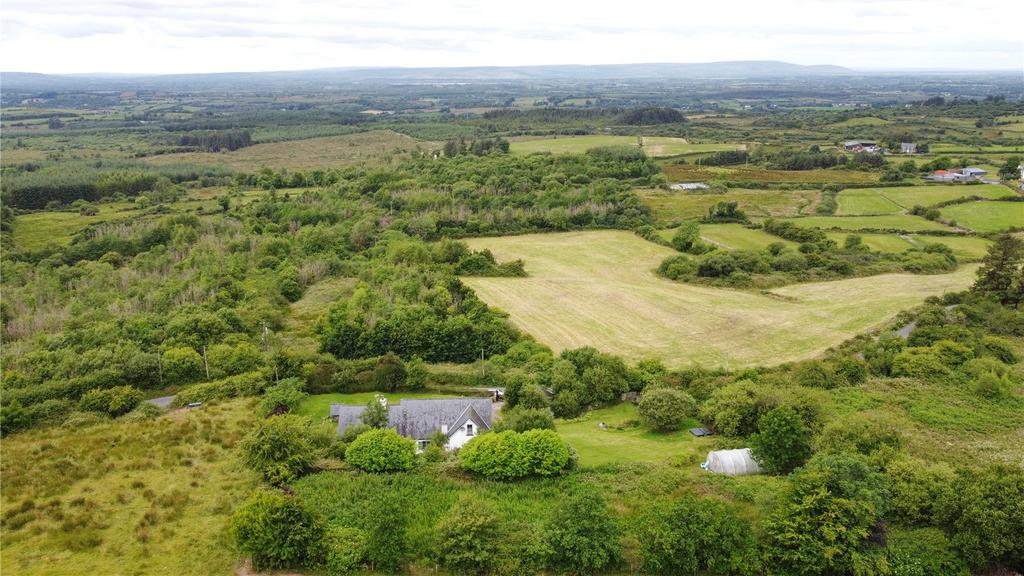 image-1-1024×1024-441