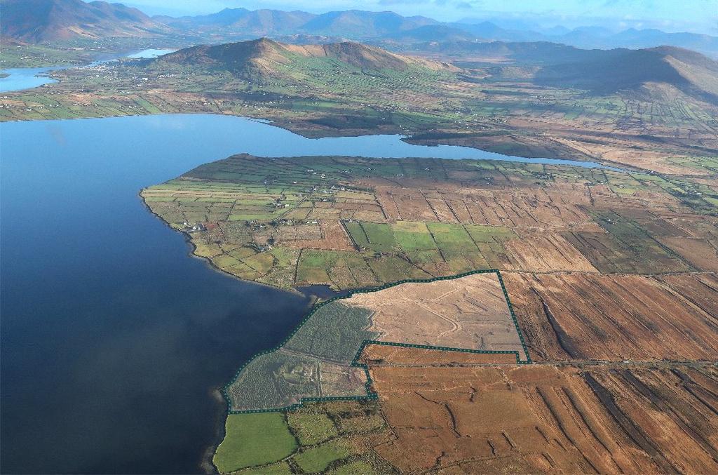 image-1-1024×1024-451