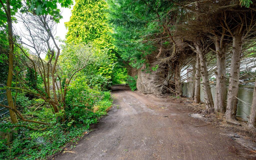 image-1-1024×1024-453