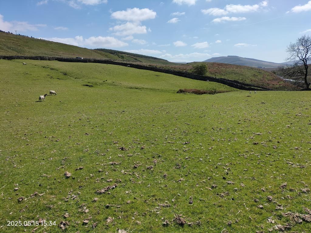 image-2-1024×1024-229