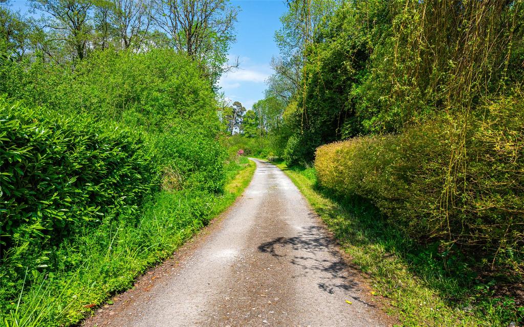 image-2-1024×1024-374