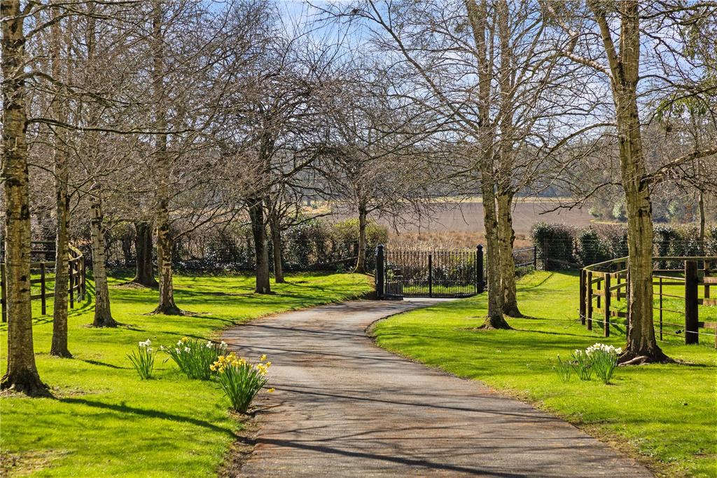 image-2-1024×1024-394