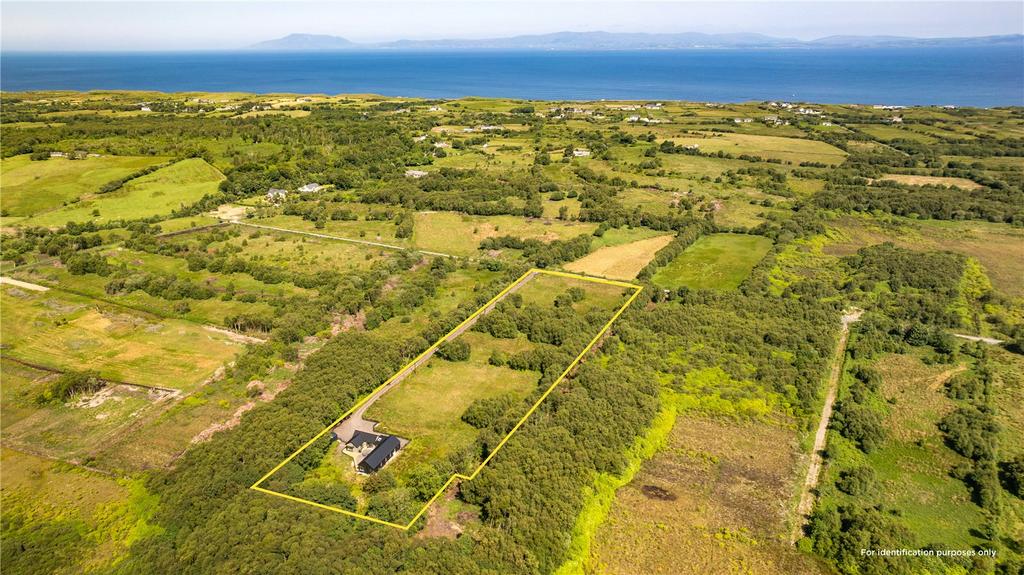 image-2-1024×1024-428