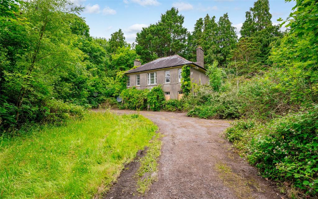 image-2-1024×1024-450