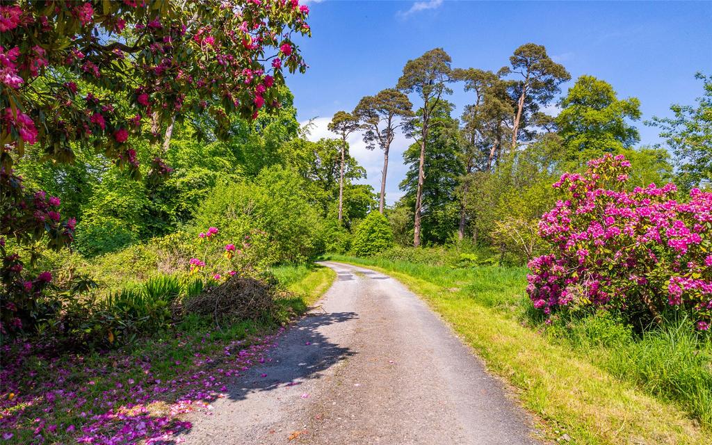 image-3-1024×1024-372