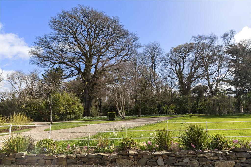 image-3-1024×1024-384