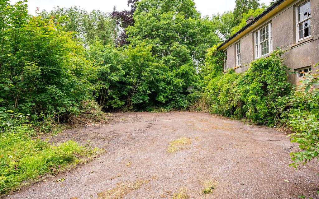 image-3-1024×1024-448