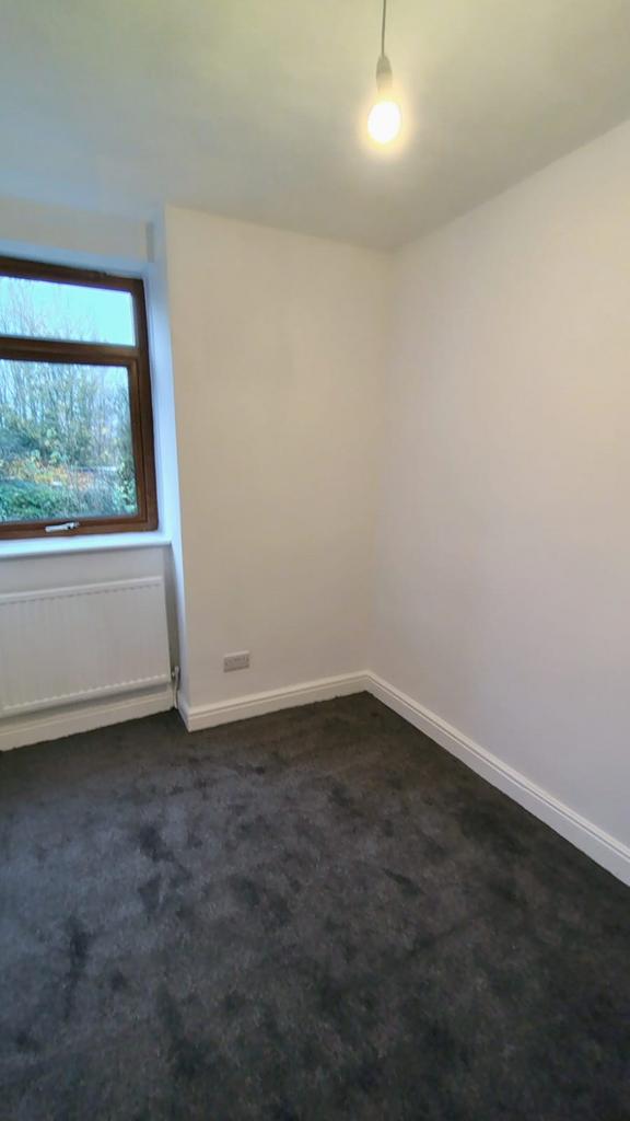 image-4-1024×1024-200