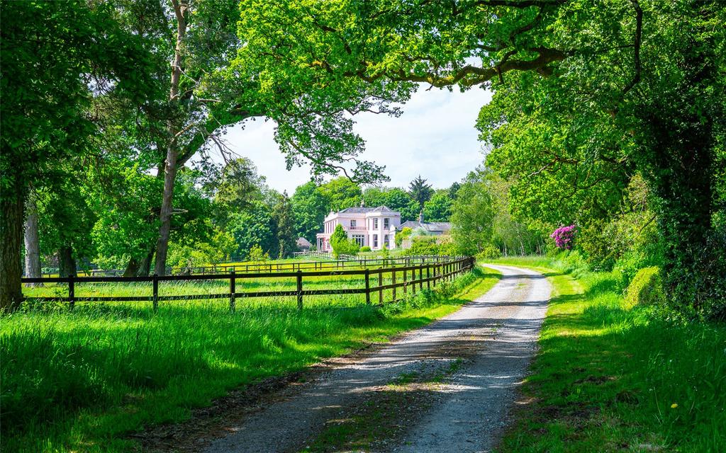 image-4-1024×1024-369