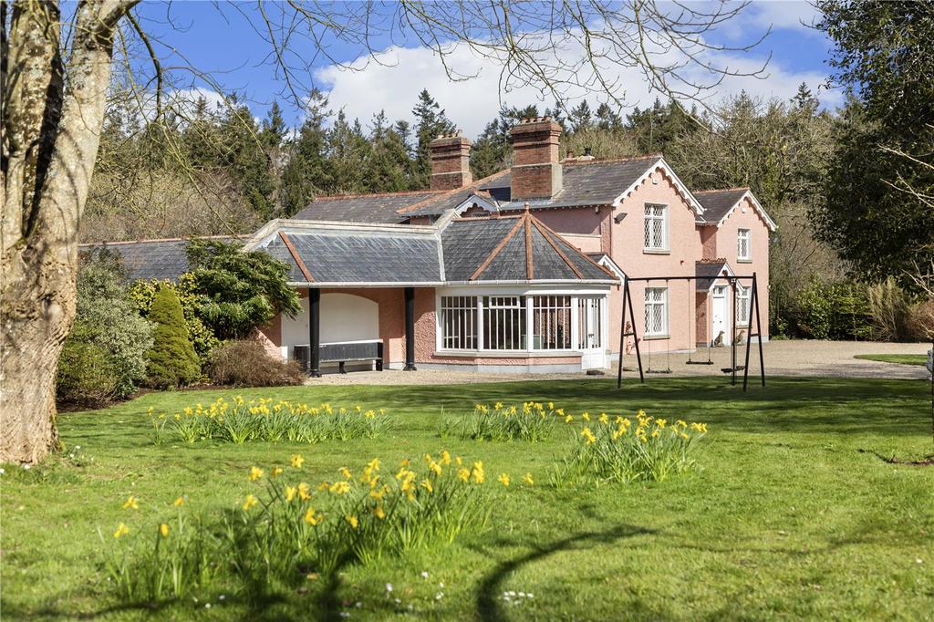 image-4-1024×1024-381