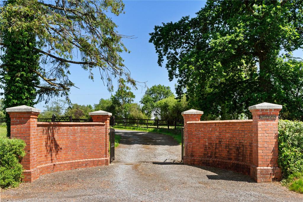 image-4-1024×1024-388