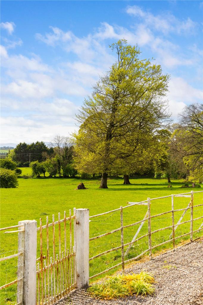 image-4-1024×1024-399