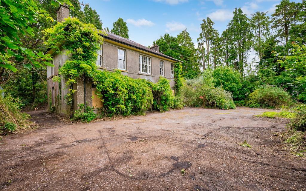 image-4-1024×1024-445